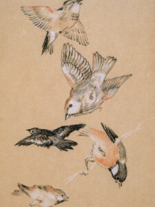 FIGURE IN MOTION